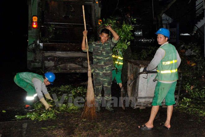 Hà Nội: Sở Xây dựng lên tiếng về vụ cây trồng mới vẫn bọc nylon gốc ảnh 1