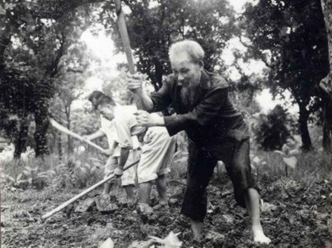 Bác Hồ cuốc đất, trồng rau trong vườn Phủ Chủ tịch năm 1957. (Ảnh: TTXVN) Nhà báo Indonesia chia sẻ kỷ niệm vô giá về cuộc gặp Bác Hồ ảnh 3