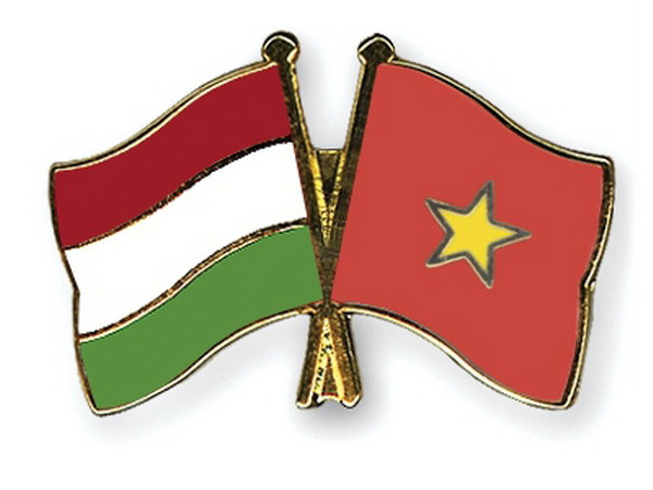 Ảnh minh họa. (Nguồn: crossed-flag-pins.com) Việt Nam-Hungary tăng cường hợp tác trong lĩnh vực tư pháp ảnh 1
