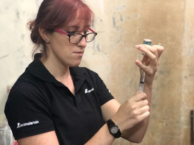 Cả nước còn khoảng gần 600 cá thể gấu bị nuôi trong các trang trại ảnh 2