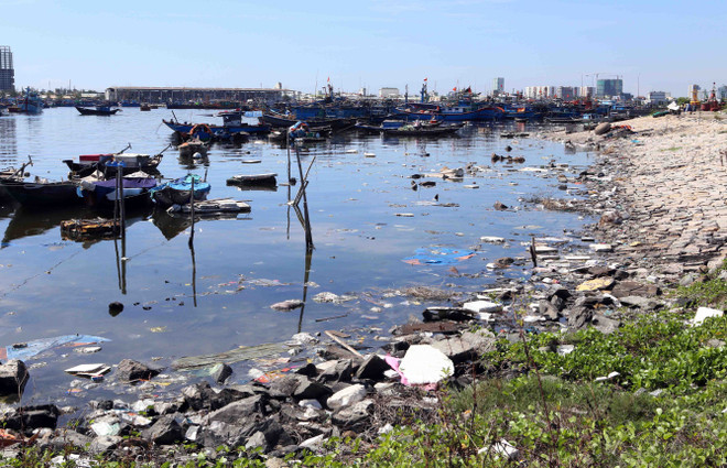 Bộ trưởng Môi trường: Thanh-kiểm tra không chỉ là xử lý và phạt tiền ảnh 2