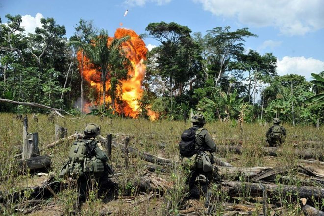 Quân đội Colombia phá hủy một khu điều chế cocaine của FARC. (Ảnh: AFP) Colombia: FARC tố quân đội Chính phủ vi phạm thỏa thuận ngừng bắn ảnh 1