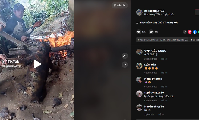 Giết hại động vật hoang dã rồi khoe trên mạng: Hành vi đáng bị lên án ảnh 1