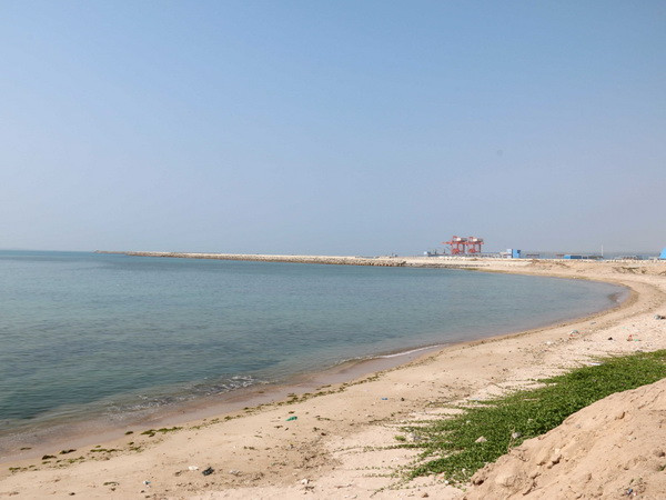 Cần giám sát việc nhận chìm vật liệu nạo vét xuống biển Bình Thuận ảnh 1