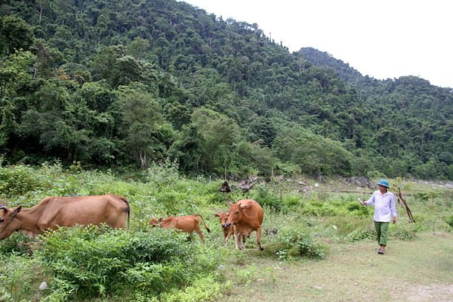 Bất cập trong đền bù di dân tái định cư Thủy điện Bản Vẽ ảnh 2