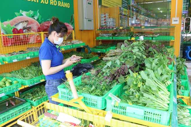 TP.HCM dần nới lỏng giãn cách, đảm bảo an sinh và an toàn dịch bệnh ảnh 2