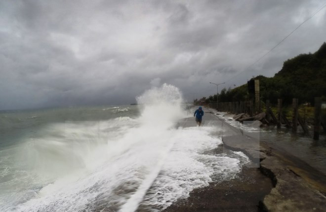 [Video] Bão Melor tàn phá, gây hậu quả nghiêm trọng ở Philippines ảnh 1