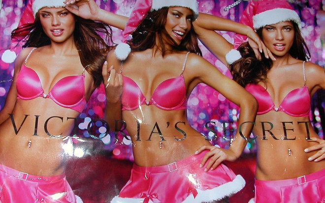 Người tiêu dùng đòi Victoria’s Secret phải có đồ lót cỡ lớn ảnh 1