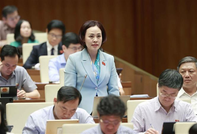 Hệ thống pháp luật cơ bản đáp ứng yêu cầu phát triển kinh tế-xã hội ảnh 1