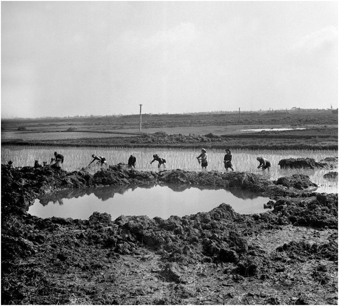 Nhà báo, nghệ sỹ nhiếp ảnh Nguyễn Chính với Ảnh Diễn ca ảnh 5