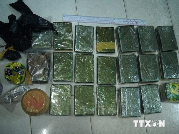 Mở rộng điều tra vụ án thu giữ 13 bánh heroin tại Nam Định ảnh 1