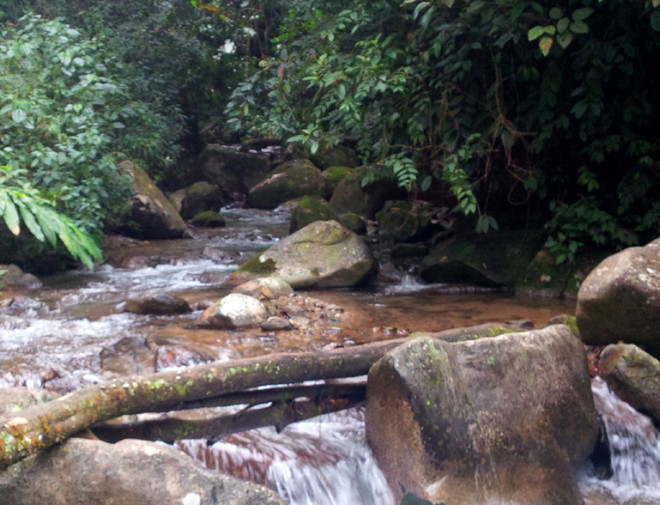 Lai Châu: Một 'phượt thủ' đột tử trên đường lên đỉnh Pu Si Lung ảnh 1