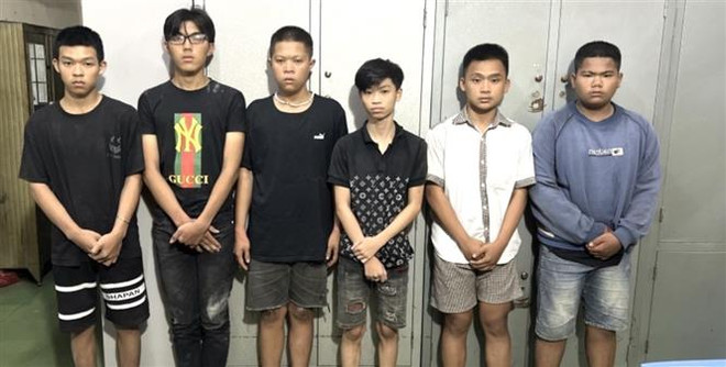 Đồng Nai: Bắt các đối tượng trong 2 vụ cố ý làm hư hỏng tài sản ảnh 1