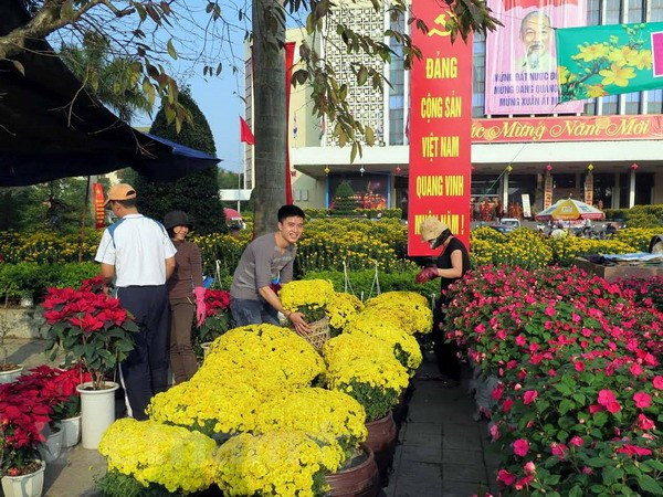 Ảnh minh họa. (Nguồn: TTXVN) Nghệ An tổ chức 10 đường hoa, cụm hoa dịp Tết Nguyên đán ảnh 1
