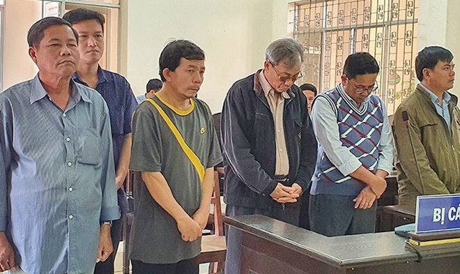 Phú Yên: Khởi tố 7 bị can liên quan đến các vi phạm về quản lý đất đai ảnh 1