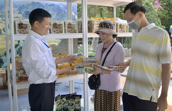 TP.HCM: Tuần lễ sản phẩm OCOP và sản phẩm đặc trưng các vùng, miền ảnh 2