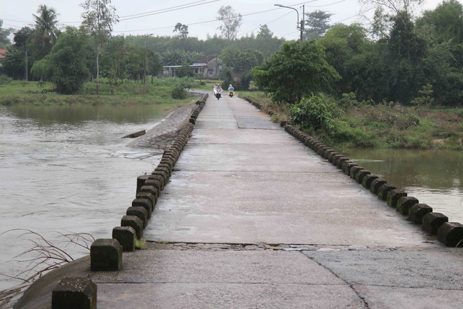 ttxvn hiem_hoa_rinh_rap_tai_ngam_tran_ru_ri_trong_mua_mua_lu2_resize.jpg