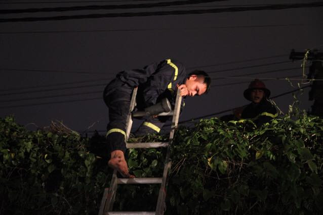 Hà Nội: Hỏa hoạn tại công ty cổ phần xây lắp và cơ khí ở Trần Quý Cáp ảnh 3