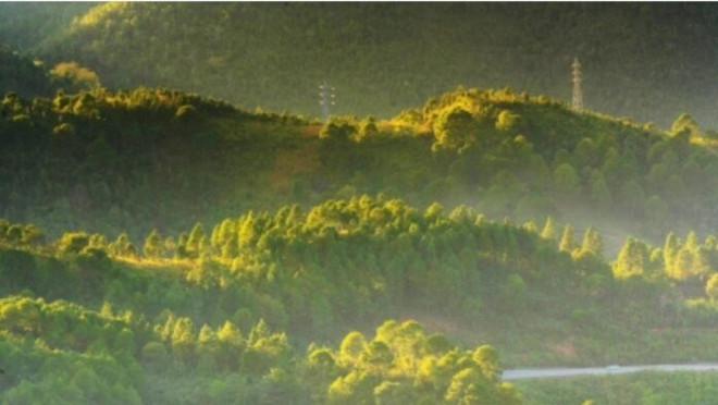 Myanmar nỗ lực bảo tồn rừng nhằm duy trì đa dạng sinh học ảnh 1