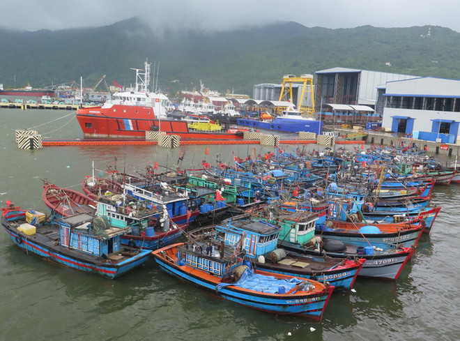 Quảng Ngãi cấm tất cả tàu thuyền hoạt động từ 7 giờ ngày 14/9 ảnh 1