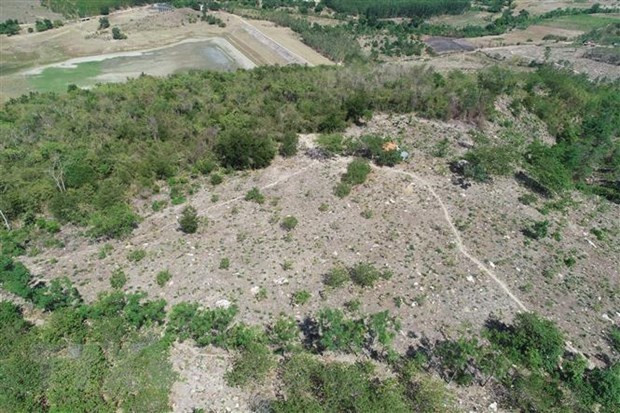 Bình Phước: Kiến nghị thu hồi 13 dự án chậm tiến độ sử dụng đất ảnh 1