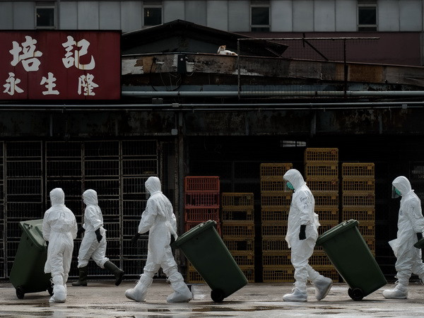 Thêm các trường hợp tử vong vì H7N9 tại Trung Quốc ảnh 1