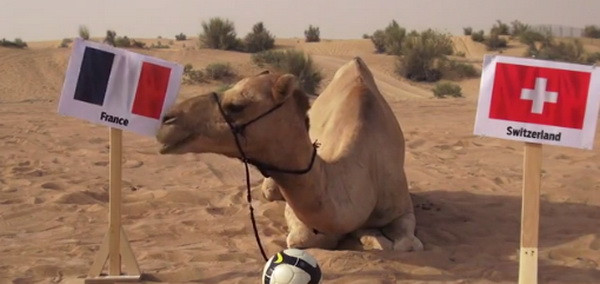 Thảm họa “tiên tri” khiến tuyển Pháp lo lắng trước trận gặp Thụy Sĩ ảnh 1