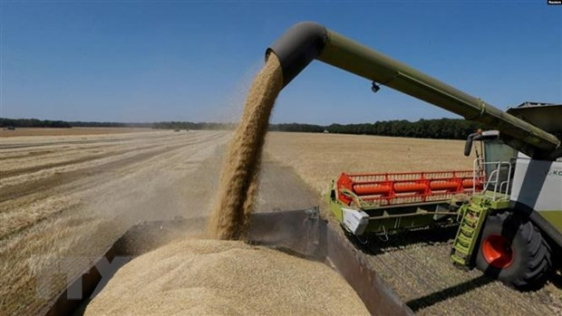 Fitch và S&P hạ bậc xếp hạng nợ nước ngoài của Ukraine ảnh 1