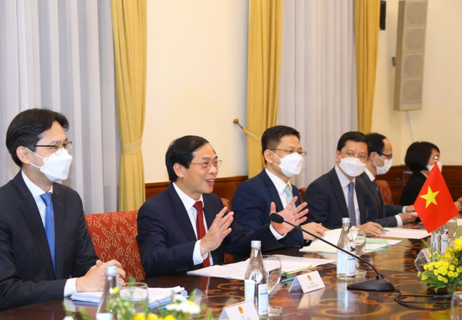 Bộ trưởng Bùi Thanh Sơn hội đàm với Bộ trưởng Ngoại giao Saudi Arabia ảnh 2