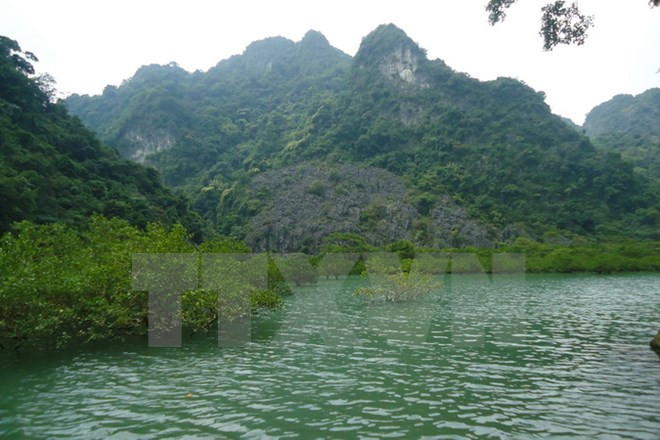 Sự kiện trong nước 15-21/5: "Hội nghị Diên Hồng" cho doanh nghiệp ảnh 6