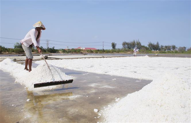 TP.HCM thích ứng và khôi phục sản xuất nông nghiệp sau đại dịch ảnh 2