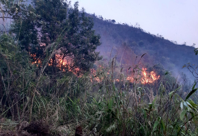 Lai Châu: Người dân đốt cây làm nương, gần 1.000 người chữa cháy rừng ảnh 1