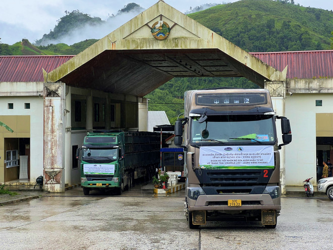 Một nhóm các chuyên gia Vinamilk & Lao-Jagro cũng đã đợi sẵn tại cửa khẩu Nậm Cắn, kiểm tra sức khỏe cho đàn bò, chuẩn bị cho hành trình tiếp theo trên đất Lào. Vinamilk nhập 1.000 bò sữa HF từ Mỹ về tổ hợp trang trại tại Lào ảnh 5