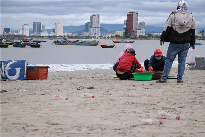 Đà Nẵng: Ruốc được nhuộm đỏ chứa chất gây hại cho sức khỏe ảnh 2