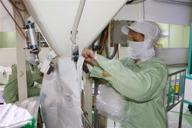 Indonesia nhập khẩu gạo từ Việt Nam và Thái Lan để bình ổn trong nước ảnh 1