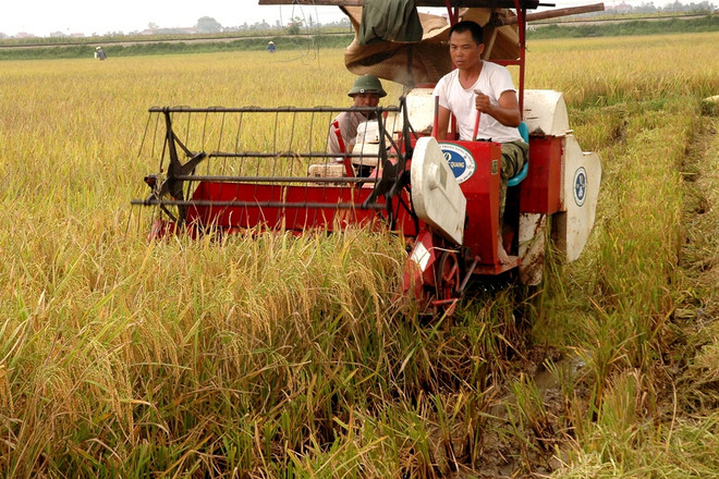 Ban Kinh tế Trung ương sẽ đưa ra những đóng góp và quyết sách mới về vấn đề tam nông. (Ảnh minh họa. Nguồn: TTXVN) GS.TS Vương Đình Huệ: Kinh tế 2014 sẽ đột phá về thể chế ảnh 2