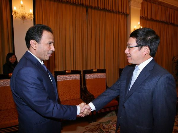 Phó Thủ tướng, Bộ trưởng Ngoại giao tiếp Đại sứ UAE ảnh 1