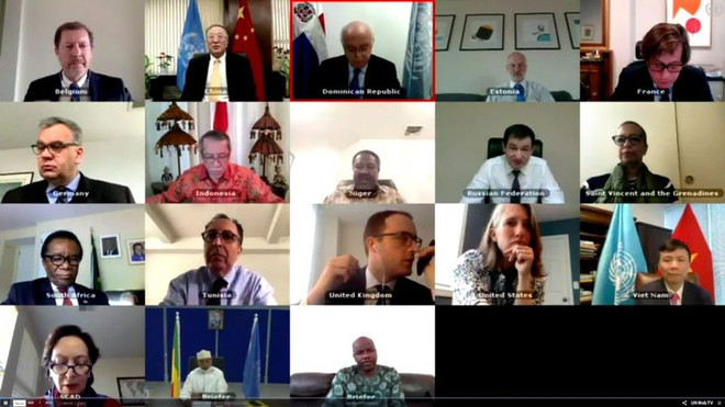 Việt Nam kêu gọi bảo đảm an ninh, an toàn cho người dân Mali ảnh 1