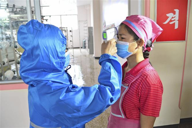 Kiểm tra thân nhiệt của công nhân tại một nhà máy ở Bình Nhưỡng, Triều Tiên, ngày 10/6/2022. (Ảnh: Kyodo/TTXVN) Triều Tiên tiếp tục tuyên bố không có ca nghi mắc COVID-19 mới ảnh 1