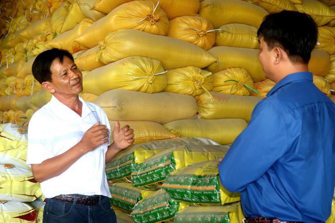 TTXVN_2609 Nong dan xuat sac Can tho 3.jpg