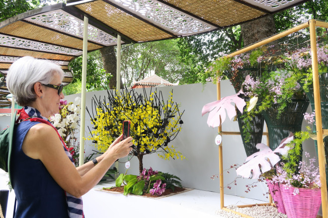 Khai mạc Festival hoa lan năm 2019 tại Thành phố Hồ Chí Minh ảnh 2