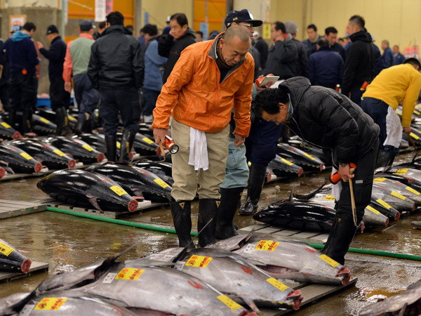 Nhật Bản dự kiến nâng mức phạt đối với đánh bắt trộm hải sản ảnh 1