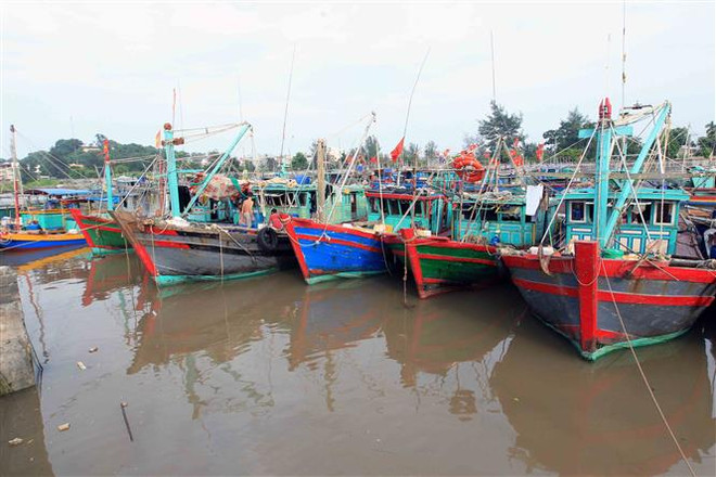 Kiểm đếm tàu thuyền, hướng dẫn ngư dân vào nơi tránh bão an toàn ảnh 1
