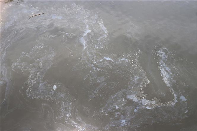 Ô nhiễm trên sông Sa Lung: Tỉnh Quảng Trị đề nghị Công an vào cuộc ảnh 1