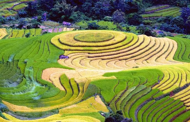 Giao lưu văn hóa quảng bá và thúc đẩy du lịch Việt Nam tại Israel ảnh 1