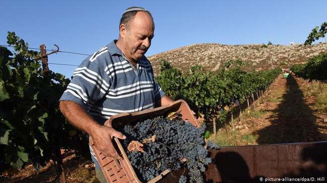 Palestine hoan nghênh phán quyết của tòa án Liên minh châu Âu ảnh 1