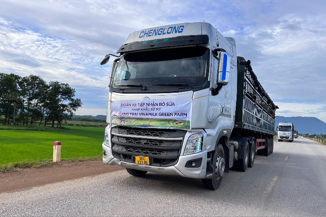 Vinamilk tiếp nhận hơn 1.500 bò sữa từ Mỹ về các trang trại Green Farm ảnh 5