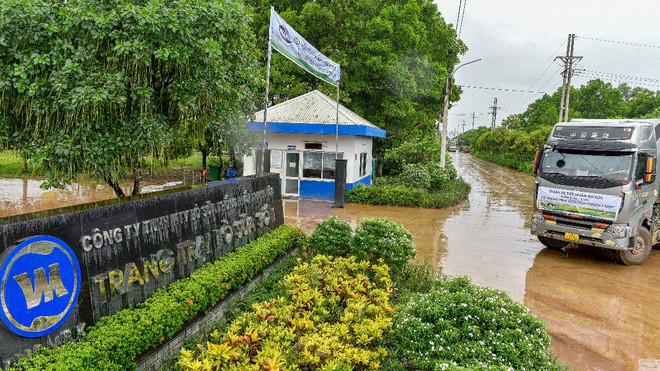 Thời tiết mát mẻ, mưa nhẹ làm dịu bớt khí hậu mùa hè miền Bắc đã tạo điều kiện thuận lợi cho việc vận chuyển đàn bò về trang trại. Vinamilk tiếp nhận hơn 1.500 bò sữa từ Mỹ về các trang trại Green Farm ảnh 7
