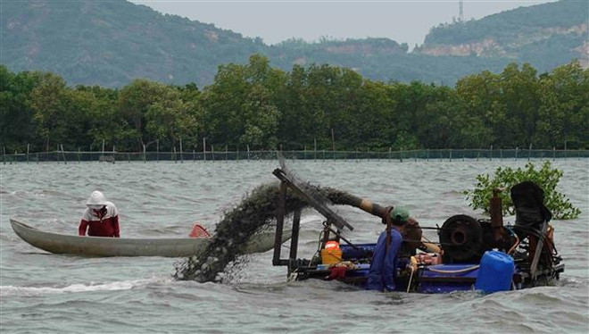 Tái diễn khai thác thủy sản bằng máy bơm hút cát trên đầm Thị Nại ảnh 1