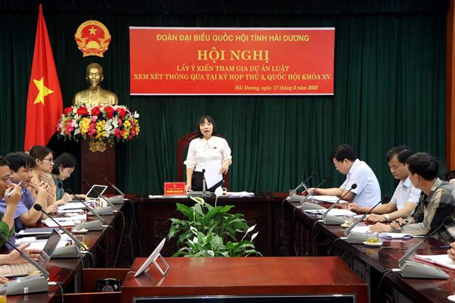 Nhiều ý kiến đóng góp hoàn hiện các dự án luật sắp trình Quốc hội ảnh 2